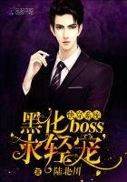快穿系统:黑化BOSS,求轻宠