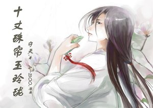 《十丈珠帘玉玲珑》