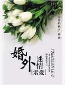 《索爱:婚外迷情》