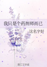 《我只是个药剂师而已》