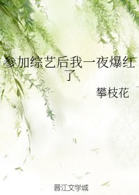 参加综艺后我一夜爆红了