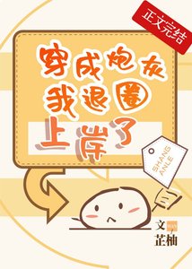 穿成炮灰我退圈上岸了