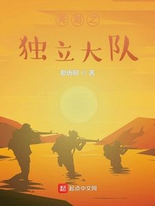《亮剑之独立大队》
