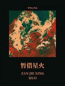 《暂借星火》